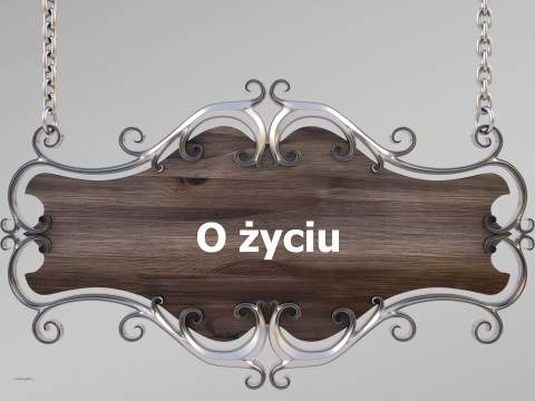 Album memów o życiu